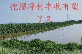 青岛即墨农民网红“北京26环”被逮捕！图片