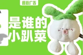 “小趴菜”玩偶火出圈，快手才是真正的玩梗高手吧图片