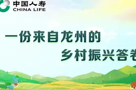 【媒体调研采访】一份来自龙州的乡村振兴答卷图片