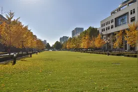 第五轮学科评估结果何时出来？多所高校透漏，可能真的要来了图片