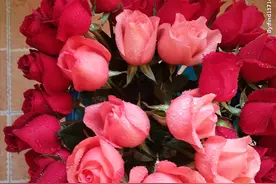 “天地间走来一个小小的我，不要问我叫什么”？图片