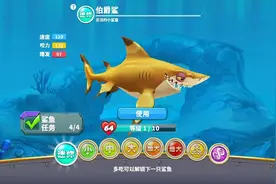 饥饿鲨游戏中鲨鱼在现实长什么样？（上）图片