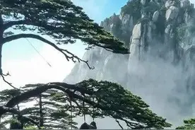 迎客松的寓意是什么呢？迎客松又分哪几类？图片