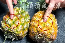 挑选菠萝时，只要看一眼这个位置，菠萝1个个又甜又多汁，不酸涩图片