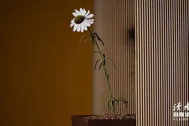 少管闲事，是一种极高的修养图片