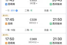 乘动车去西双版纳！中老铁路玉溪至磨憨段（玉磨段）车票开售图片