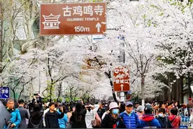 南京鸡鸣寺又火了！记住，古迹比樱花更好看！图片