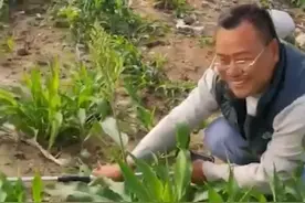 广东一男子钓鱼时竟钓出一条鳄鱼，边按着边报警：可以吹一辈子图片