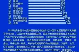 2024年315晚会曝光的汽车质量排名，看看有没有你家爱车图片
