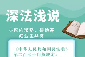 深法浅说 | 小区内道路、绿地等归业主共有图片