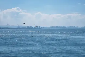 一个人有没有大格局，一看就知道了，看这个地方错不了图片