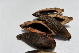 6000万国人的噩梦，槟榔危害有多大，我们是如何掉入槟榔的陷阱？图片