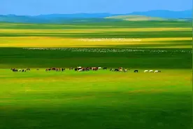 小伙子！你把内蒙古想简单了图片