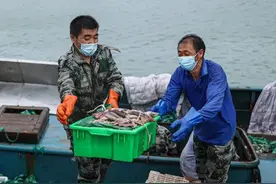 中国鱿鱼之乡，令人意“鱿”未尽图片