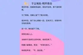 完结暗恋成真文《于尘埃处》《八千里路》《濯枝》《橘子汽水》图片