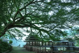 大概是广西最“武侠风”的小城，在这里，可以遇见梁羽生笔下的江湖……图片