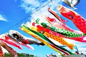 日本最近随处可见的鲤鱼旗到底有什么来历图片