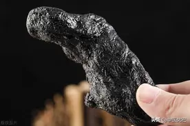 一味中药补五脏，养心血、滋肝阴、补脾肺、填肾精，帮你延年益寿图片