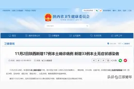 陕西新增本土“17+33”！部分地区通知：乘火车飞机出行不再查验核酸证明图片