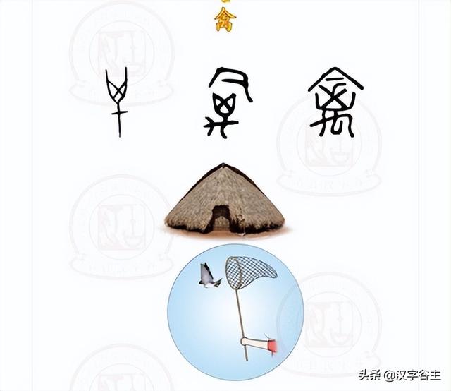 动物拼音有哪些（汉字动物何为禽何为兽禽与兽如何区别）