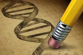 世和基因或面临长期亏损风险，收入与多项数据相矛盾并涉嫌虚增图片