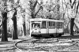 有轨电车，你们城市有吗？图片