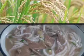 数说秋收丨一棵稻苗能产出几碗米粉？图片
