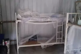 记者调查：西丽一荔枝园临时建筑拆除原委图片