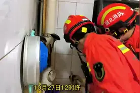湖北十堰：小奶猫被困7天，消防员“凿壁救猫”图片