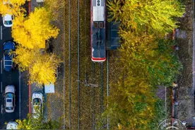 吉镜头丨美景如画 打卡长春“醉美”落叶大道图片