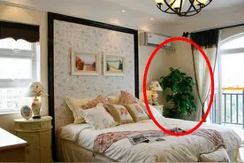 卧室床头到底可不可以放绿植吗？清楚这一点，你就明白了！图片