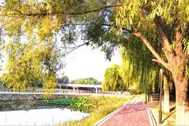 探望病人后的感叹 只有利益没有温情图片