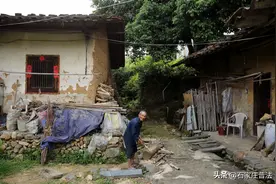 吴谢宇弑母案：最后的悲剧发生之前图片