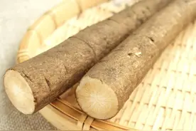 被称为“东洋参”的牛蒡，其实是我国古老的药食两用食物图片