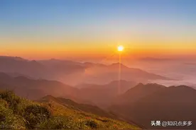 2022年网络流行语|25常用梗大全图片