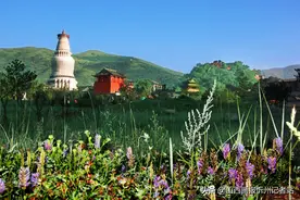 忻州：五台山景区最新免票政策公布图片