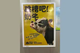 我们为什么会被一头奶牛冒犯到？图片