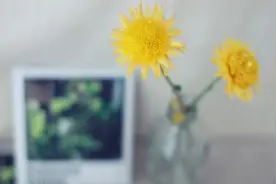 下班后可做的10件小事，让你越来越高级图片