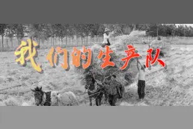 【罗庄夜话】我们的生产队（上）图片
