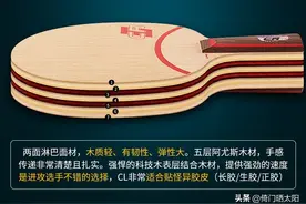 史上比较全的乒乓球底板知识图片