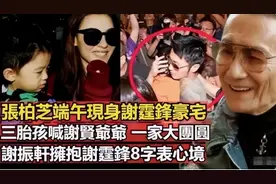 复合？张柏芝夜宿谢霆锋家！张柏芝谢霆锋王菲的故事，与真爱无关图片