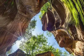多地优待上新，战友请关注！图片