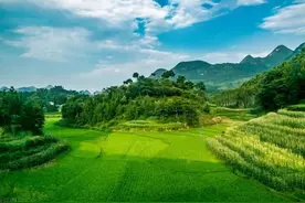 农村人说盖房子“宁可房屋出场小，不可门前有人田”，为什么？图片