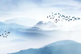 识人：饭桌上有4个特征的人，往往人品不好图片