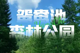 鸳鸯池森林公园的N种玩法，带娃、出游两不误~图片