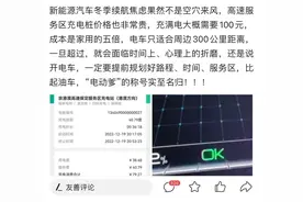 网友：纯电动车超过300公里 就是“电动爹”图片