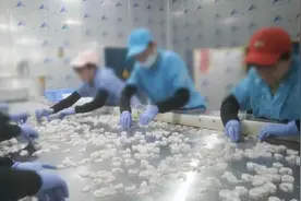 云端锐评｜回答我！谁该为“舌尖上的焦虑”买单？图片