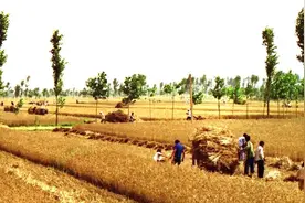 同名诗《连阴雨》19首——读懂农民的心声图片