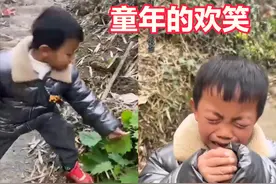 这种草！专治小孩的各种“不服”，让你“快乐”得痛哭流涕！图片