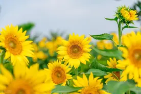 成年人绝交的征兆，从来不是撕破脸，而是从这三个地方开始的图片